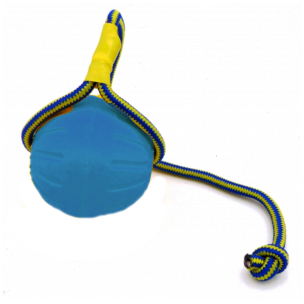 Starmark DuraFoam Bold (str. L) med snor