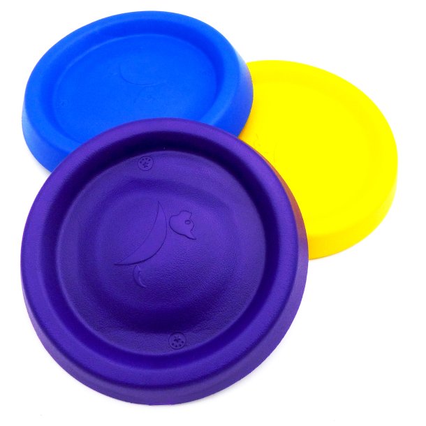 Hebr Frisbee