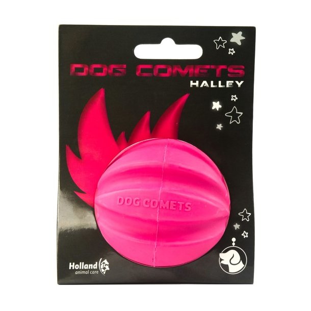 Dog Comets Ball Halley Rose