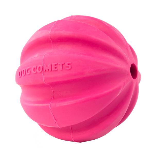 Dog Comets Ball Halley Rose