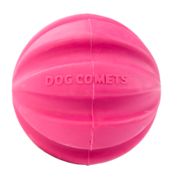 Dog Comets Ball Halley Rose