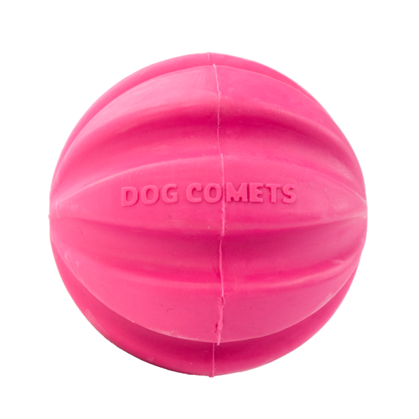 Dog Comets Ball Halley Rose
