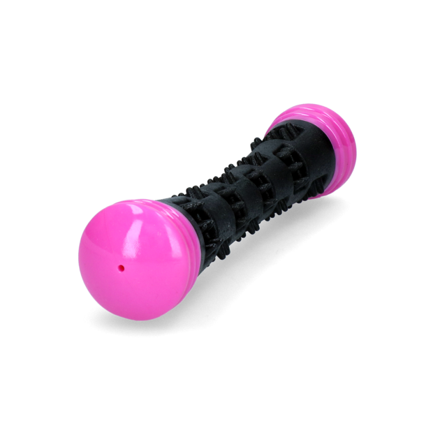 Dog Comets Meteor Throwing stick Large 