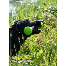 Dog Comets Meteor Throwing stick Large 