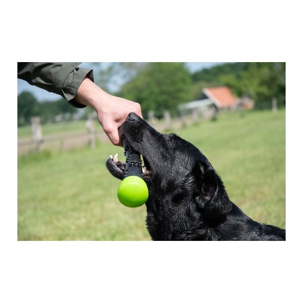 Dog Comets Meteor Throwing stick Large 