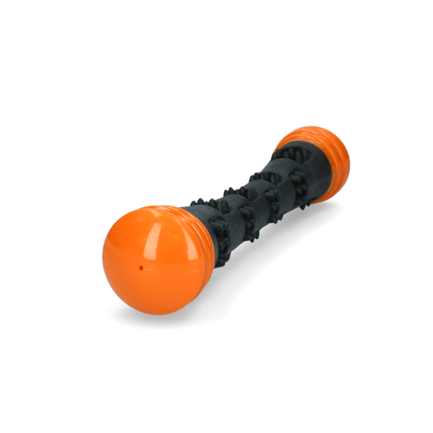 Dog Comets Meteor Throwing stick Large 