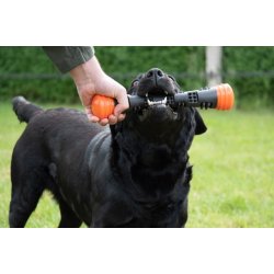 Dog Comets Meteor Throwing stick Large 