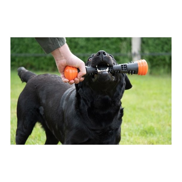 Dog Comets Meteor Throwing stick Large 
