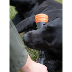 Dog Comets Meteor Throwing stick Large 