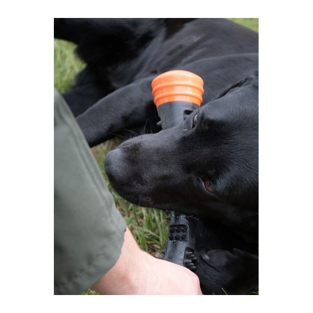 Dog Comets Meteor Throwing stick Large 