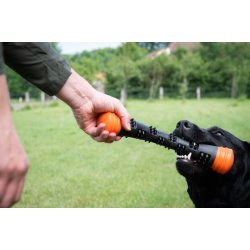 Dog Comets Meteor Throwing stick Large 