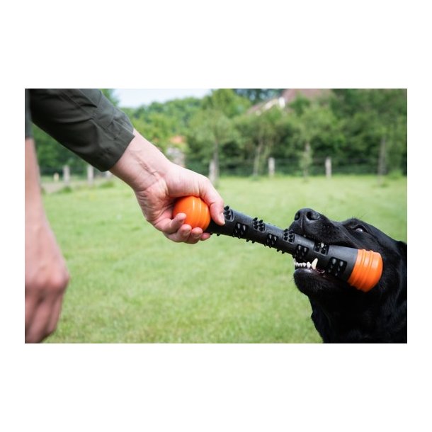 Dog Comets Meteor Throwing stick Large 