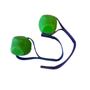 Chuckit bold med 20 til 30 cm line - model Erratic