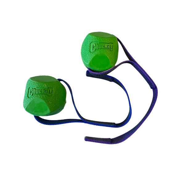 Chuckit bold med 20 til 30 cm line - model Erratic