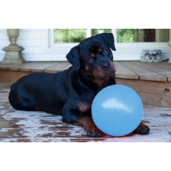 Jolly Ball Bounce-n Play 15cm Baby Blue (Blue Berry Smell) 