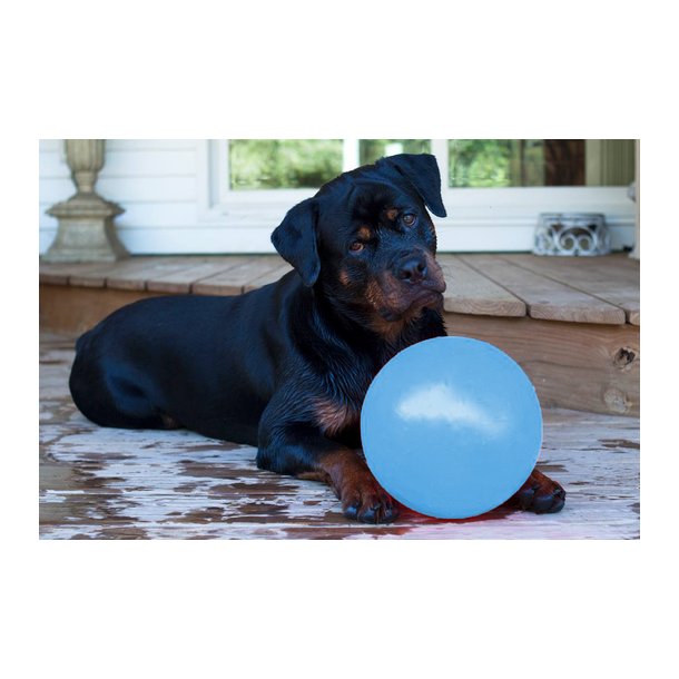 Jolly Ball Bounce-n Play 15cm Baby Blue (Blue Berry Smell) 