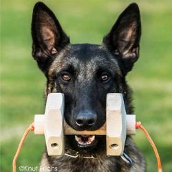 Knut Fuchs IGP-Apport 650g - model Havatar