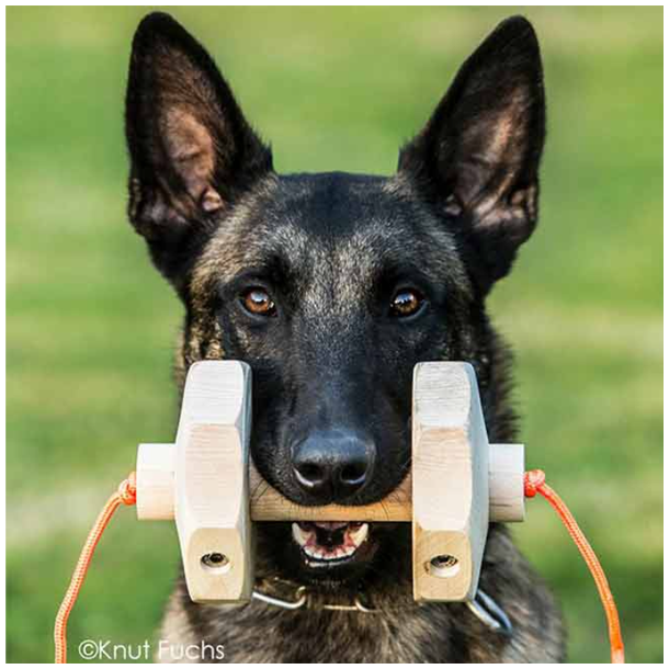 Knut Fuchs IGP-Apport 650g - model Havatar