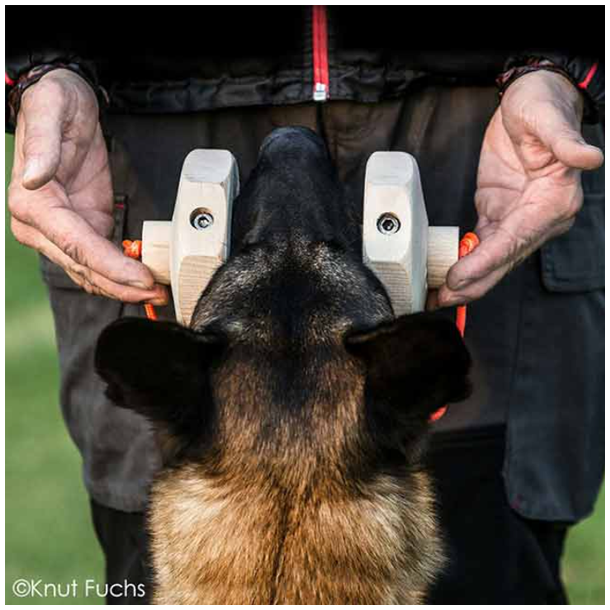 Knut Fuchs IGP-Apport 650g - model Havatar