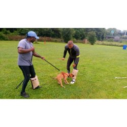 Korte bens�rme bl�d jute. (Bestillingsvarer)