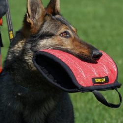 Bidepude til hvalpe (bld)