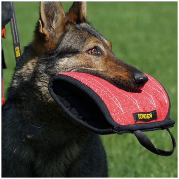 Bidepude til hvalpe (bld)