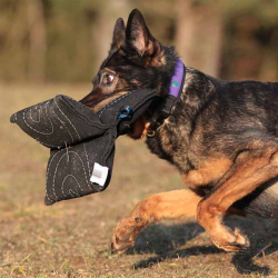 Bidepude "Triple star"(Bestillingsvare)