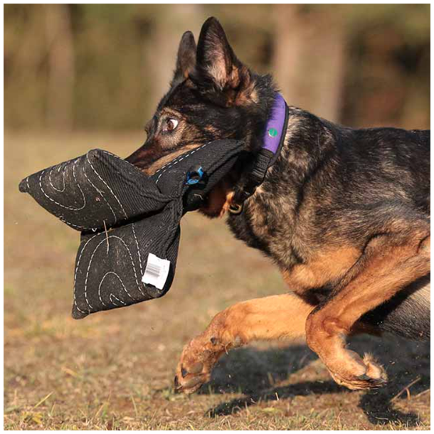 Bidepude "Triple star"(Bestillingsvare)