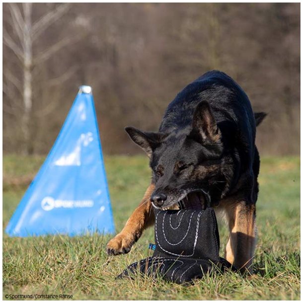 Bidepude "Triple star"(Bestillingsvare)