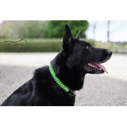 Paracord halsbnd -Orange