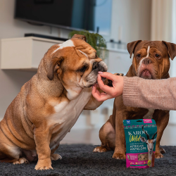 KAROO Wild - Training Bites Rosmarin 113g