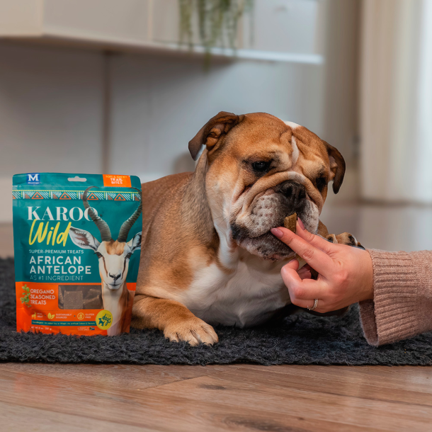 KAROO Wild - Training Bites Oregano 113g