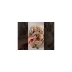 Softies Godbidder - Korn &amp; Glutenfri 200g