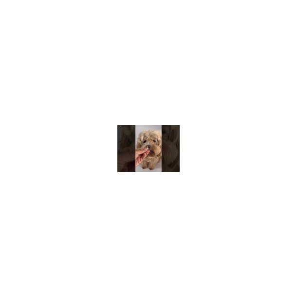 Softies Godbidder - Korn &amp; Glutenfri 200g